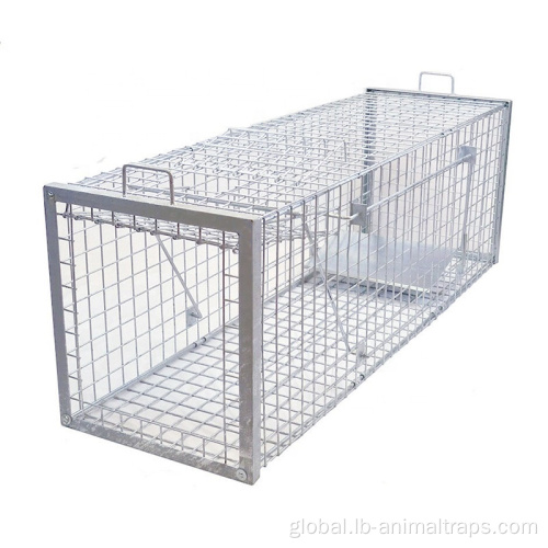 Large Animal Trap Cage humane live animal trap cage animal trap cage Supplier